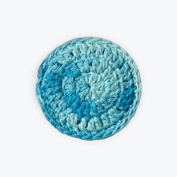 Swimming Pool Round Dish Scrubbies