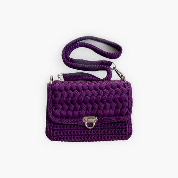 Violet With Silver Purse