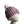 Elderberry With Soft Pink Pom Beanie