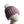 Elderberry With White Pom Beanie